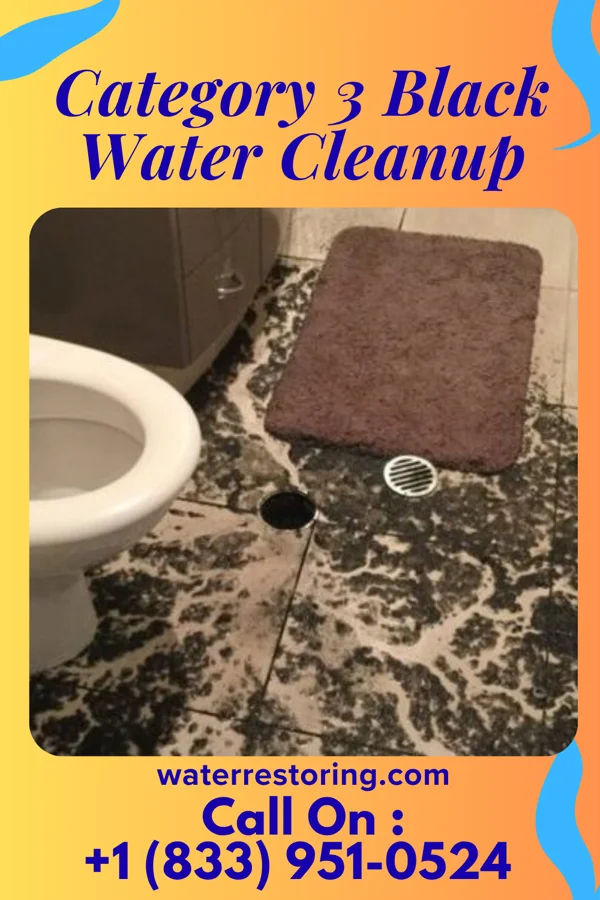 Category 3 Black Water Cleanup in Sheppards Mill, NJ