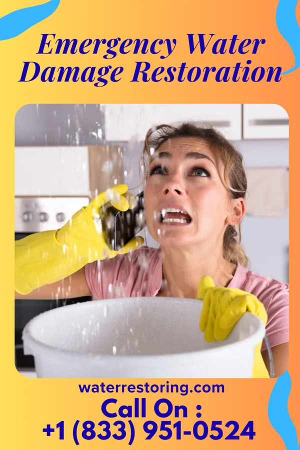 Emergency Water Damage Restoration in Sheppards Mill, NJ