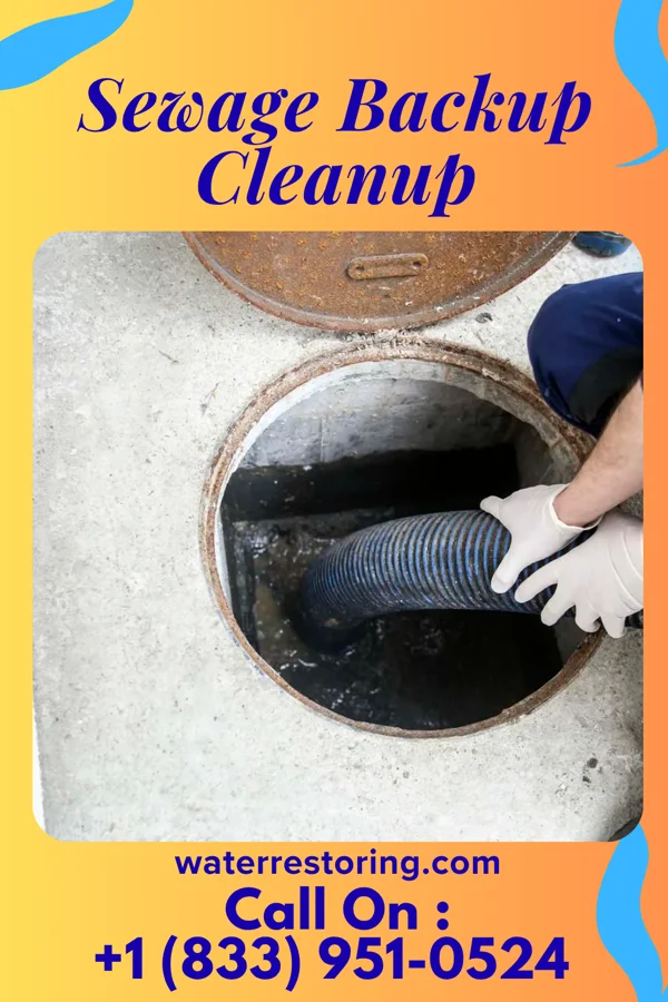 Sewage Backup Cleanup in Sheppards Mill, NJ